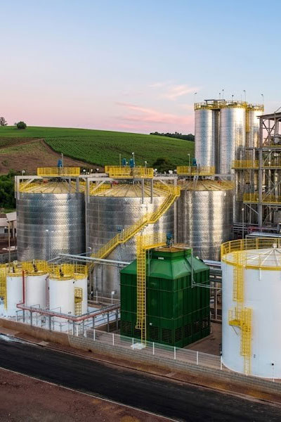 Bioenergia e Sucroalcooleiro